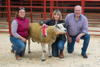Champion Cross Bred Ram